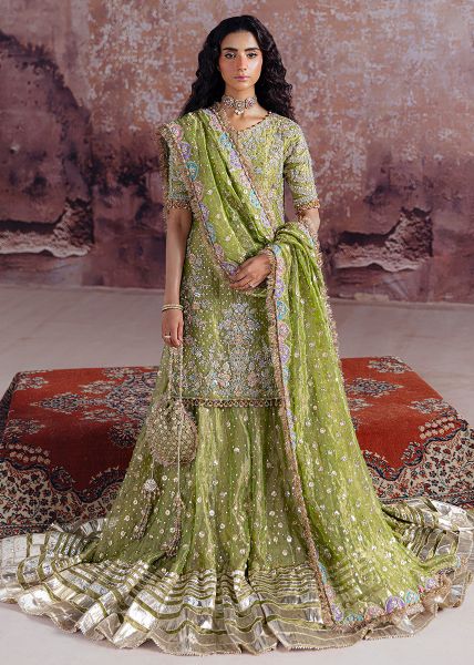 Shadan BY Sara Rohail Asghar