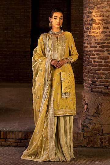 Dil Araa - Erum Khan